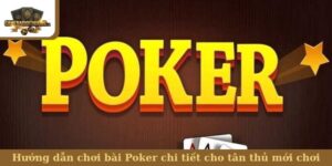 Hướng dẫn chơi bài Poker chi tiết cho tân thủ mới chơi